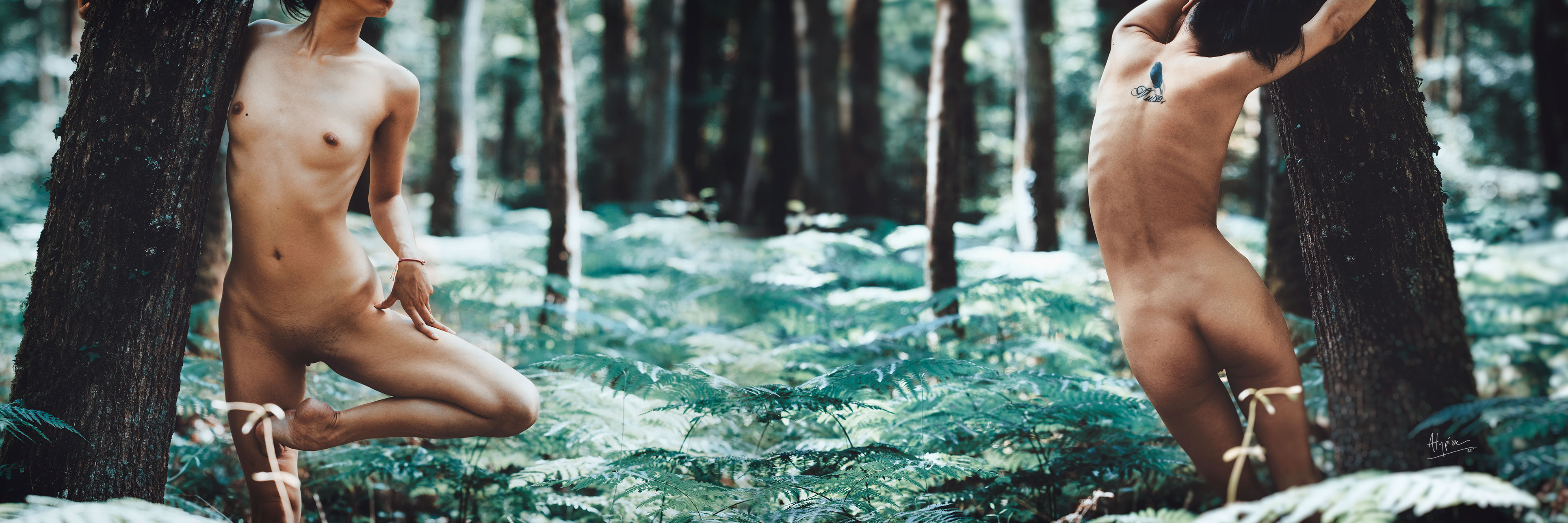 lost in the woods by atypixe